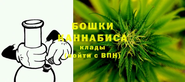 прущая мука Ельня