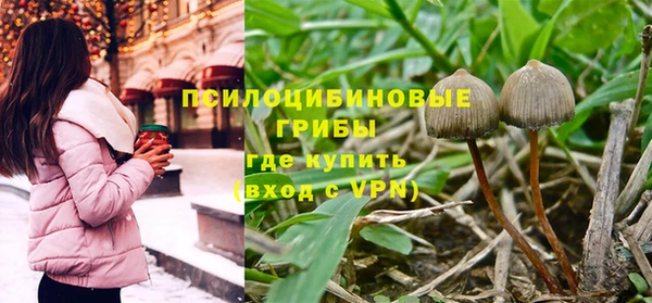 молекула духа Карталы