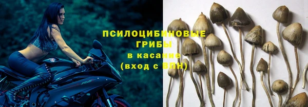 молекула духа Карталы