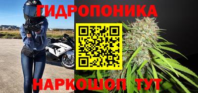 бошки Камышлов