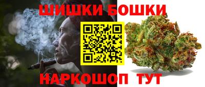 бошки Камышлов