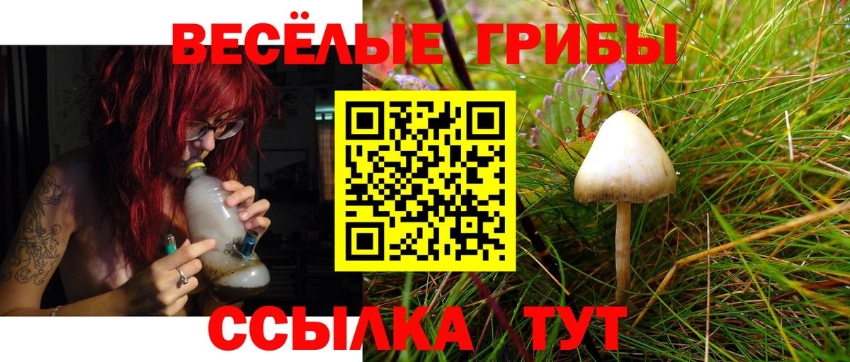 Псилоцибиновые грибы мицелий  Вход с VPN  купить закладку  Псилоцибиновые грибы мухоморы  Кизляр 