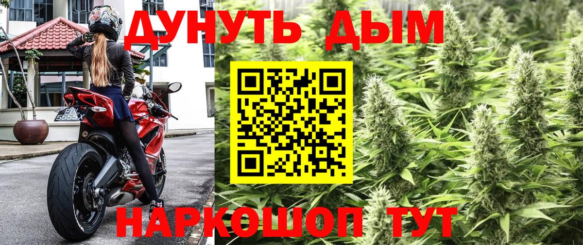 Бошки Шишки сатива Кизляр